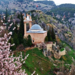Bilecik Medyum Zeki