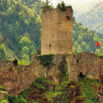 Rize Medyum Zeki