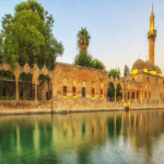 Şanlıurfa Medyum Zeki