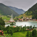 Trabzon Medyum Zeki